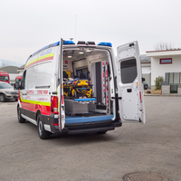 rettungswagen von hinten